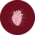 Corazón anatómico