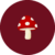 Hongo